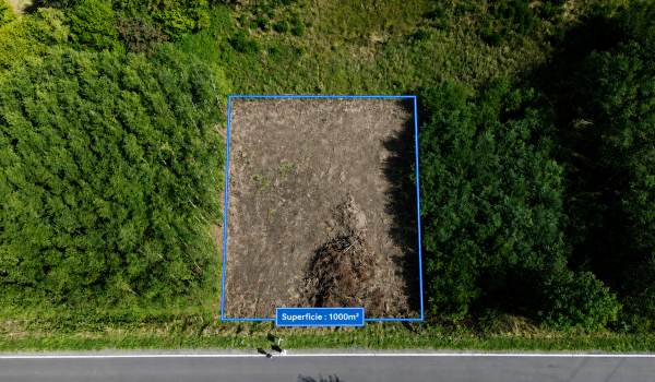 7795297_80184865.png